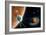 Illustration Symbolising Voyager 2's Journey-Julian Baum-Framed Photographic Print