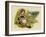 Illustration, the Queen of the Pirate Isle-Kate Greenaway-Framed Art Print