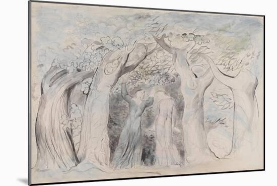 Illustrations to Dante's 'Divine Comedy', Dante and Virgil Penetrating the Forest-William Blake-Mounted Giclee Print