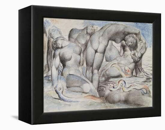 Illustrations to Dante's 'Divine Comedy', the Punishment of the Thieves-William Blake-Framed Premier Image Canvas