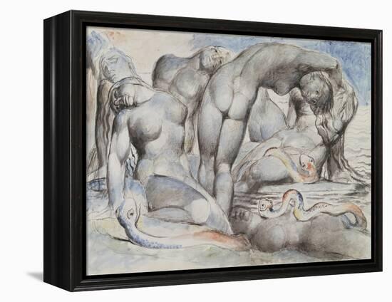 Illustrations to Dante's 'Divine Comedy', the Punishment of the Thieves-William Blake-Framed Premier Image Canvas