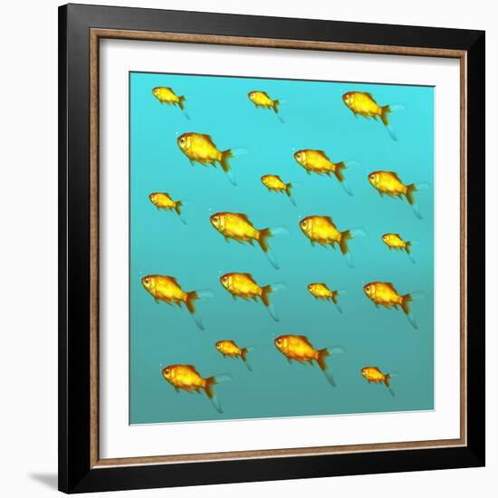 Illustrative Background of Many Red Freshwater Fish-Valentina Photos-Framed Photographic Print