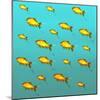 Illustrative Background of Many Red Freshwater Fish-Valentina Photos-Mounted Photographic Print