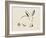 Illustrative Bunny I-Yvette St. Amant-Framed Art Print