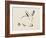 Illustrative Bunny I-Yvette St. Amant-Framed Art Print