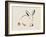 Illustrative Bunny I-Yvette St. Amant-Framed Art Print