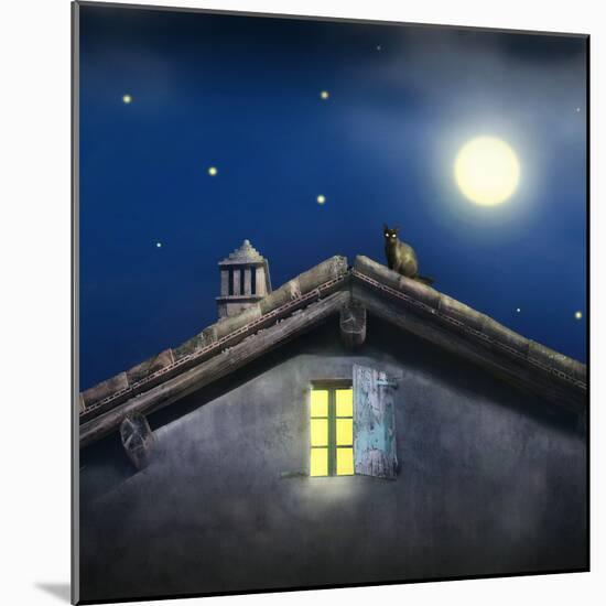 Illustrative Detail of a Roof with Chimney, Window and a Black Cat at Night with Moon and Stars-Valentina Photos-Mounted Photographic Print