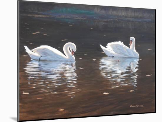 Illustrious Swans-Bruce Dumas-Mounted Giclee Print