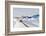 Ilulissat, Greenland, Denmark, Polar Regions-Sergio Pitamitz-Framed Photographic Print