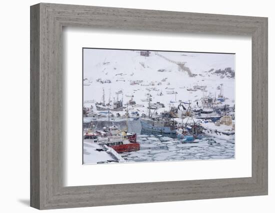 Ilulissat Harbour, Greenland, Denmark, Polar Regions-Sergio Pitamitz-Framed Photographic Print