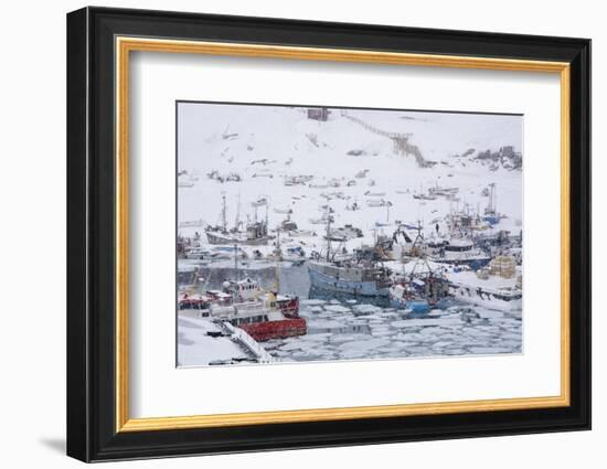 Ilulissat Harbour, Greenland, Denmark, Polar Regions-Sergio Pitamitz-Framed Photographic Print