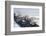 Ilulissat Harbour, Greenland, Denmark, Polar Regions-Sergio Pitamitz-Framed Photographic Print