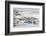 Ilulissat Harbour, Greenland, Denmark, Polar Regions-Sergio Pitamitz-Framed Photographic Print