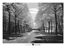 A Walk To Remember II-Ily Szilagyi-Framed Giclee Print