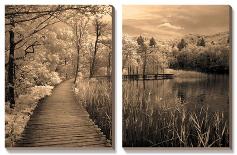 A New Beginning-Ily Szilagyi-Stretched Canvas