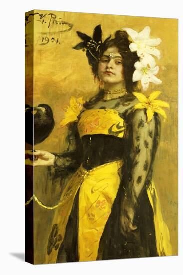 Stretched Canvas Print, , large