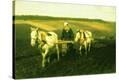 Stretched Canvas Print