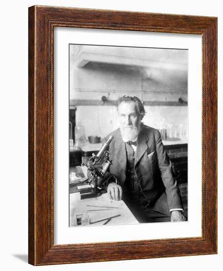 Ilya Ilyich Mechnikov, Russian Immunologist-Science Source-Framed Giclee Print