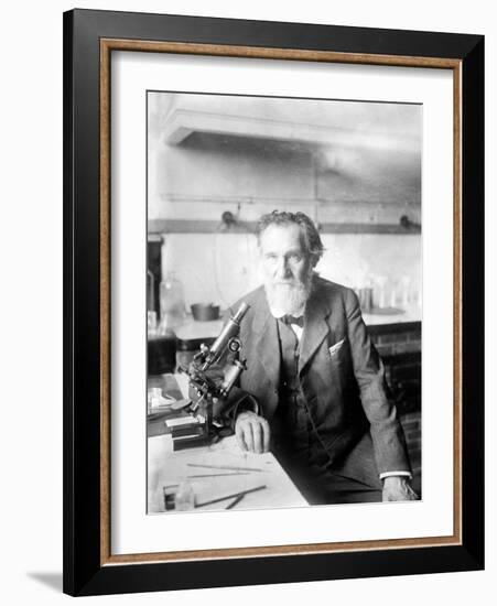 Ilya Ilyich Mechnikov, Russian Immunologist-Science Source-Framed Giclee Print