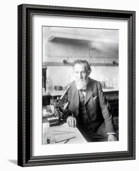 Ilya Ilyich Mechnikov, Russian Immunologist-Science Source-Framed Giclee Print