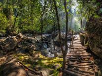 Tropical Jungle Landscape with Wooden Bridge at Flooded Rain Forest of Mangrove Trees. Cambodia-Im Perfect Lazybones-Mounted Photographic Print