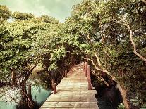Jungle Landscape in Vintage Style. Wooden Bridge at Tropical Rain Forest. Doi Inthanon Park, Thaila-Im Perfect Lazybones-Photographic Print