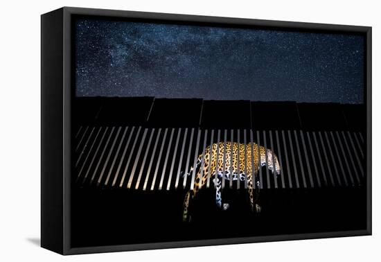 Image of a wild Jaguar projected on to US-Mexico border wall-Alejandro Prieto-Framed Premier Image Canvas