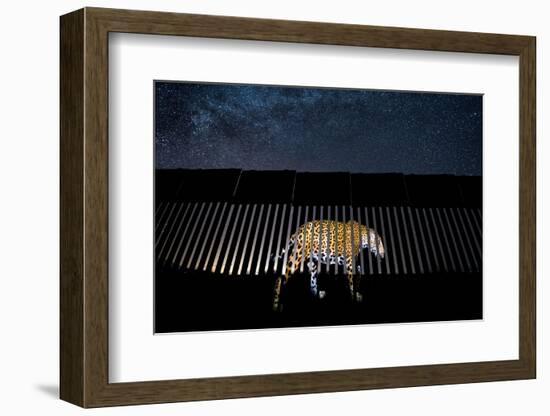 Image of a wild Jaguar projected on to US-Mexico border wall-Alejandro Prieto-Framed Photographic Print