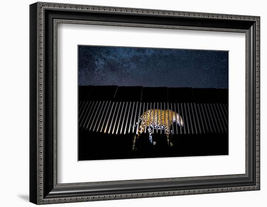 Image of a wild Jaguar projected on to US-Mexico border wall-Alejandro Prieto-Framed Photographic Print