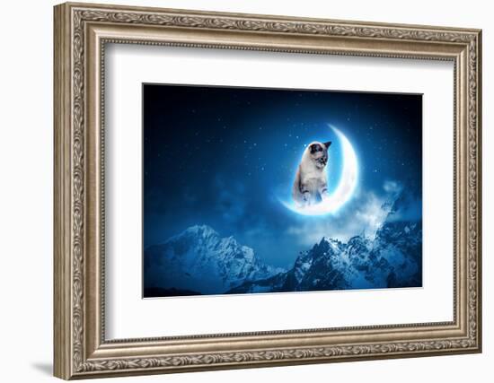 Image of Cat in Jump Catching Moon-Sergey Nivens-Framed Photographic Print