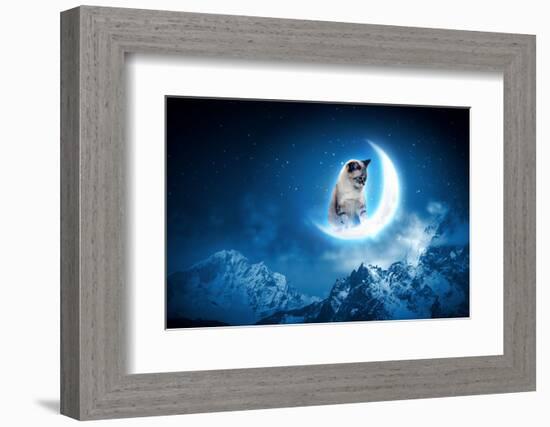 Image of Cat in Jump Catching Moon-Sergey Nivens-Framed Photographic Print