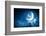 Image of Cat in Jump Catching Moon-Sergey Nivens-Framed Photographic Print