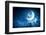 Image of Cat in Jump Catching Moon-Sergey Nivens-Framed Photographic Print