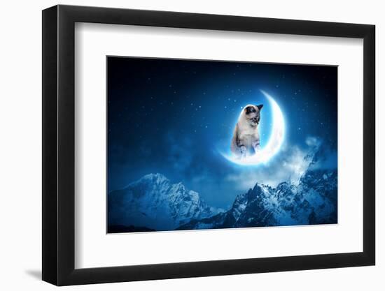 Image of Cat in Jump Catching Moon-Sergey Nivens-Framed Photographic Print