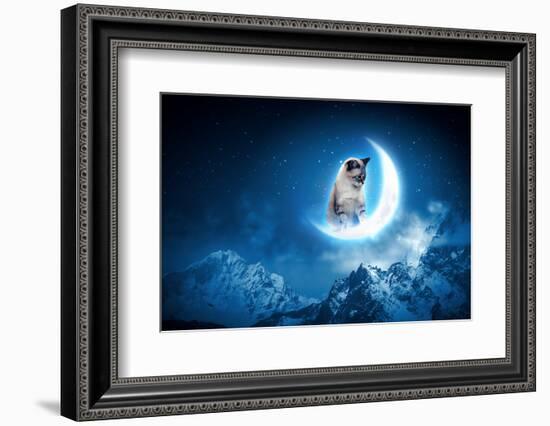 Image of Cat in Jump Catching Moon-Sergey Nivens-Framed Photographic Print