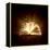 Image of Opened Magic Book with Magic Lights-Sergey Nivens-Framed Premier Image Canvas