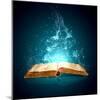 Image of Opened Magic Book with Magic Lights-Sergey Nivens-Mounted Photographic Print