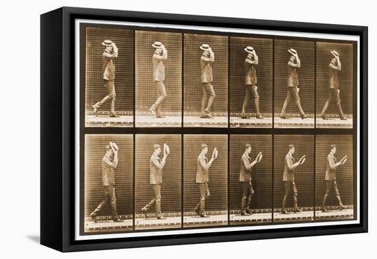 Image Sequence of a Man with a Hat Walking, 'Animal Locomotion' Series, C.1887-Eadweard Muybridge-Framed Premier Image Canvas