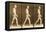 Image Sequence of a Nude Man Walking, 'Animal Locomotion' Series, C.1881-Eadweard Muybridge-Framed Premier Image Canvas