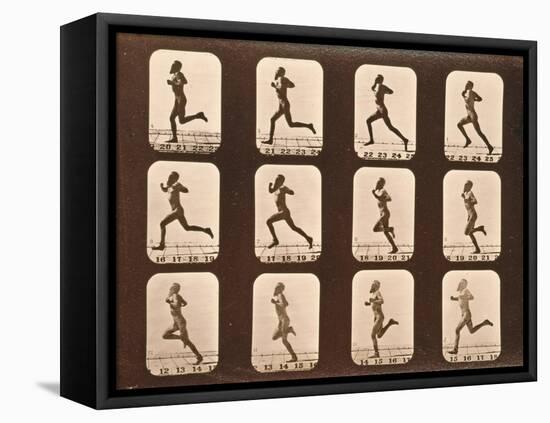 Image Sequence of Athletes. Running, 'Animal Locomotion' Series, C.1881-Eadweard Muybridge-Framed Premier Image Canvas