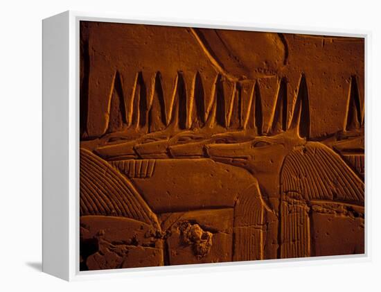 Images of Anubis near Ramesses II Reliefs and Karnak Temple, Egypt-Claudia Adams-Framed Premier Image Canvas