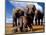 Imaginary Safari, Elephant-Tom Arma-Mounted Art Print