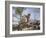 Imaginary View: Port with Ruins and Waterfall-Giuseppe Bernardino Bison-Framed Giclee Print