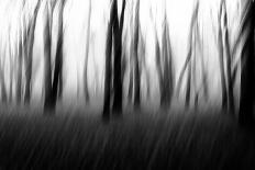 Trees in the Mountains-Imaginative-Photographic Print