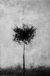 Tree in Black and White-Imaginative-Photographic Print