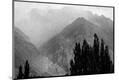 Premium Photographic Print