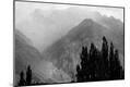 Photographic Print