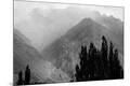 Photographic Print