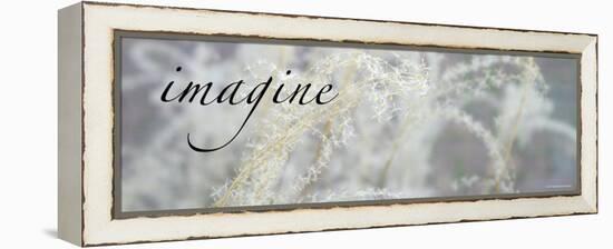 Imagine: Botanical Dream-Nicole Katano-Framed Stretched Canvas