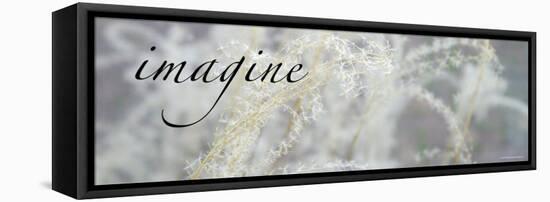 Imagine: Botanical Dream-Nicole Katano-Framed Stretched Canvas